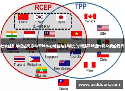社会组织等级越高意味着其核心地位与影响力的增强及其运作复杂度的提升